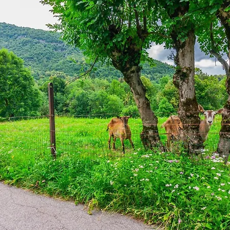 Lejlighed Nel Di Rovenza By Wonderful Italy